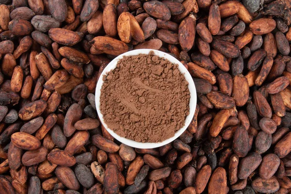 Powdered cocoa on raw cocoa beans.