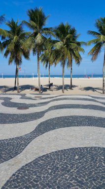 Copacabana Plajı Rio de Janeiro kaldırımı Palmiye ağaçları ve mavi gökyüzü.