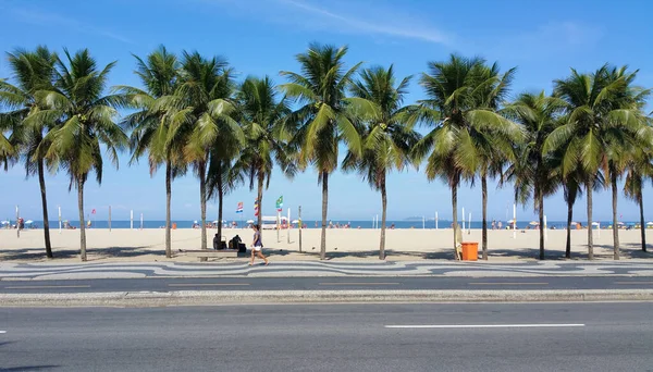 Copacabana Plajı Rio Janeiro Kaldırımı Palmiye Ağaçları Mavi Gökyüzü — Stok fotoğraf