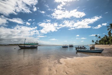 Bahia 'nın kuzeydoğusundaki Boipeba tropikal adası.