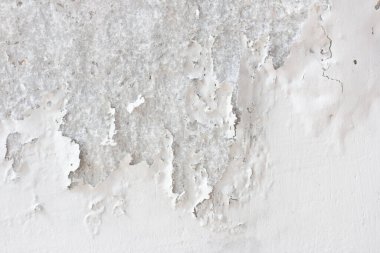 Beyaz duvar dokusu küfle soyulmuş ve çatlamış..