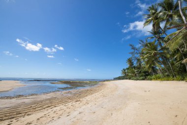 Bahia Brezilya 'daki Boipeba adasında hindistan cevizi ağaçları olan tropik bir sahil..