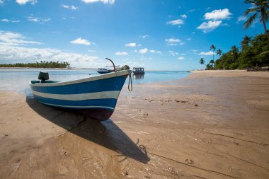 Bahia Brezilya 'daki Boipeba adasında hindistan cevizi ağaçları ve tekneleri olan tropik bir sahil..
