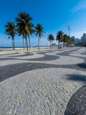Copacabana sahilinde hindistan cevizi ağaçları Rio de Janeiro Brezilya.
