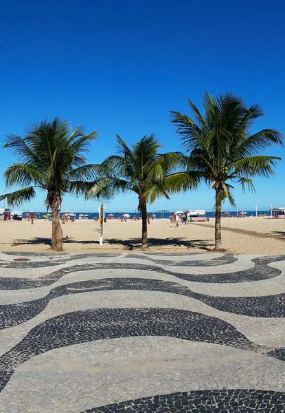 Coqueiros Praia Copacabana Rio Janeiro Brasil — Fotografia de Stock
