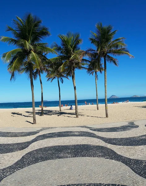 Coconut Trees Copacabana Beach Rio Janeiro Brazil — Stock Photo, Image