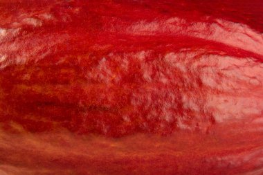 Kakao meyvesi kabuğunun dokusuyla arka plan.