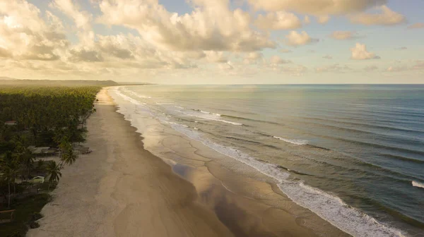 Vista Aérea Playa Con Cocoteros Costa Ilheus Bahia Brasil — Foto de Stock