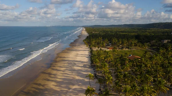 Vista Aérea Drones Praia Com Coqueiros Litoral Ilhéus Bahia Brasil — Fotografia de Stock