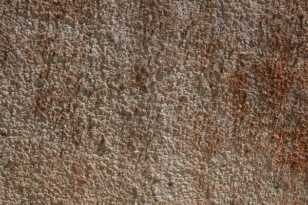 Wall Textured Background Old Paint Mold — Stock Photo, Image