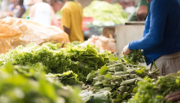 Vegetables for sale at the popular fair.