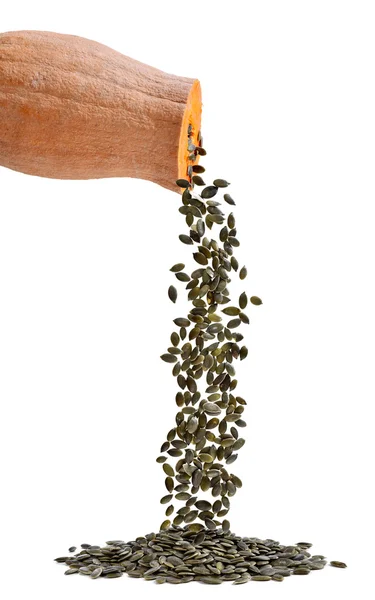 Zucca con semi rovesciati —  Fotos de Stock