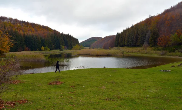 Lago Pratignano στο Love πτώση — Φωτογραφία Αρχείου