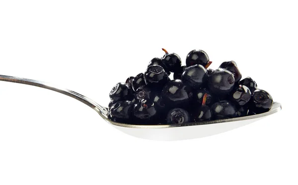 Mirtilli neri sul cucchiaio — Fotografia de Stock
