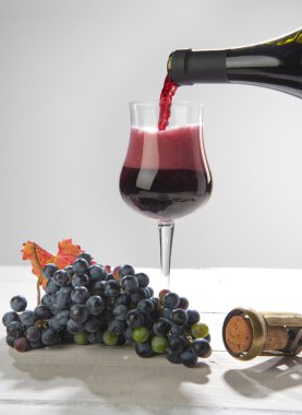 UVA e vino Lambrusco