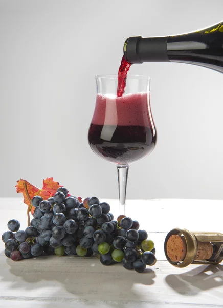 UVA e vino Lambrusco