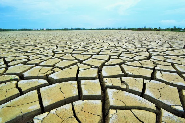 Bodenrisse und Trockenheit. — Stockfoto