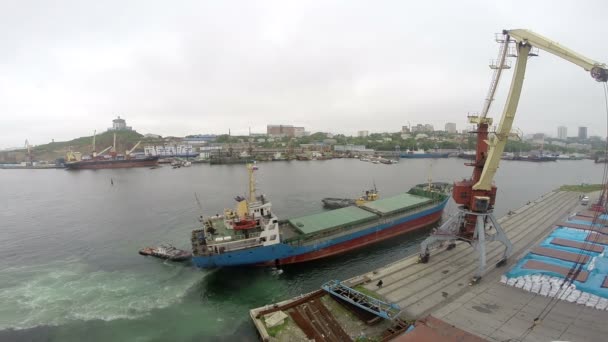 Nave da carico in arrivo nel porto. seguito2 — Video Stock