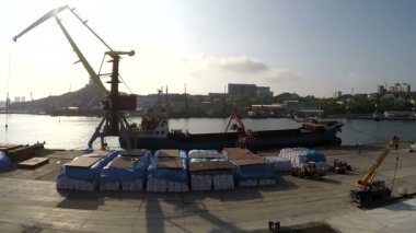 Vladivostok limanda