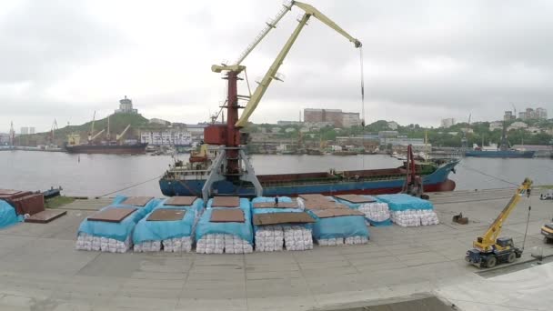 O porto em Vladivostok — Vídeo de Stock