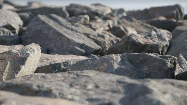 岩が多い沿岸域 — ストック動画