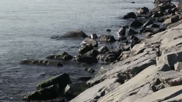 Rocky coastal zones — Stock Video