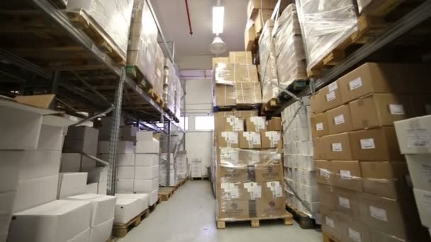 Indoor warehouse with boxes — Stock Video