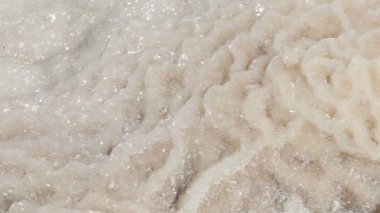 Ölü Deniz Anteni vurdu