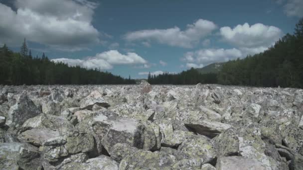 Río de piedra en el bosque — Vídeo de stock