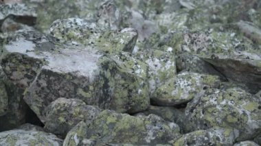 Urallarda taş Nehri