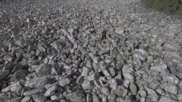 Mädchen geht auf die Felsen — Stockvideo