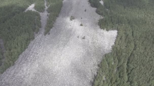 De rivier van de stenen in de Oeral — Stockvideo