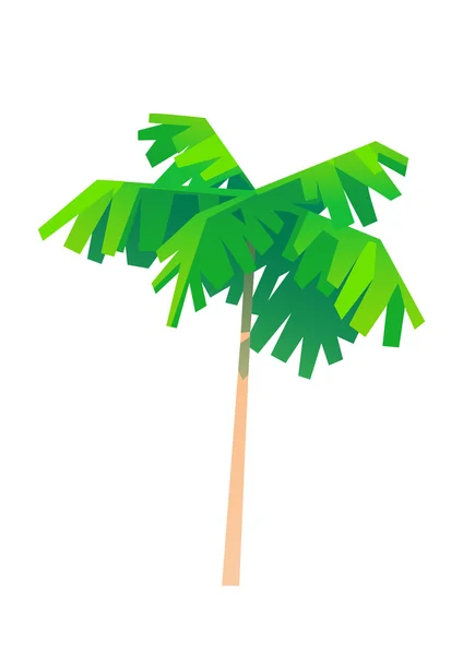 Palmeira desenho animado um objeto — Vetor de Stock