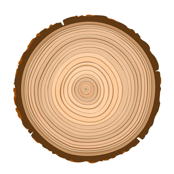 Konsistens av sågat trä brun objekt — Stock vektor