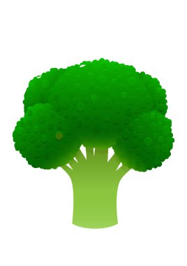 Beyaz arka plan üzerinde parlak sulu brokoli çizgi film