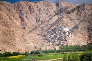 Zanskar vadisinde yüksek dağın arka planına karşı parlak sarı tecavüz alanı, yeşil ağaçlar ve geleneksel Tibet evi güzel doğal görünümü, Ladakh aralığı, Jammu & Keşmir, Kuzey Hindistan, Asya