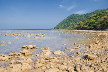 Wild sea. Con Dao island, Vietnam