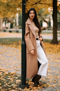 Genç kadın, sonbahar yapraklarıyla dolu bir parkta lamba direğinin yanında poz veriyor.