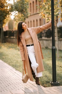 Şık bir kadın güneşli bir sonbahar gününün tadını çıkarırken sokak lambasının yanında poz veriyor.