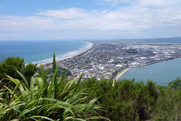 Tauranga, Mont Maunganui, Nouvelle-Zélande — Photo