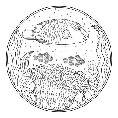 Bir deniz resifinin sualtı manzarası. Balık, yosun ve mercanlardan oluşan yuvarlak boyama kitabı sayfası. Stres önleyici karalama kalıpları siyah ve beyaz.