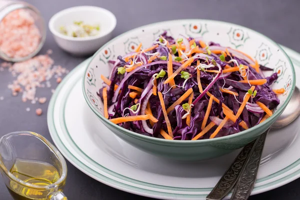 Kırmızı lahana, havuç, soğan ve turp lahanası salatası