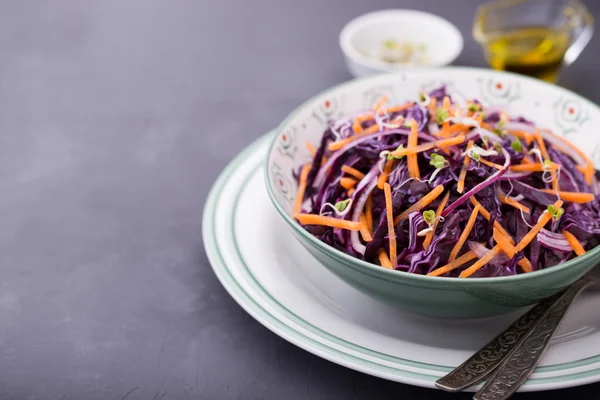 Kırmızı lahana, havuç, soğan ve turp lahanası salatası