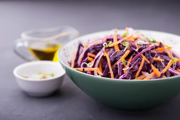 Rode kool, wortel, ui en radijs spruiten salade — Stockfoto