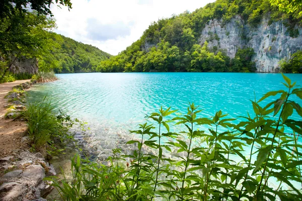 Turquoise Plitvice Lakes — Stock Photo, Image