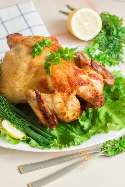 Kurczak z grilla z warzywami i ziołami — Zdjęcie stockowe
