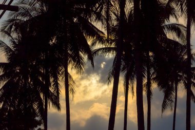 Asya'da güneş tutulması