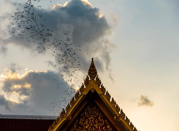 Milhões de morcegos na Tailândia — Fotografia de Stock