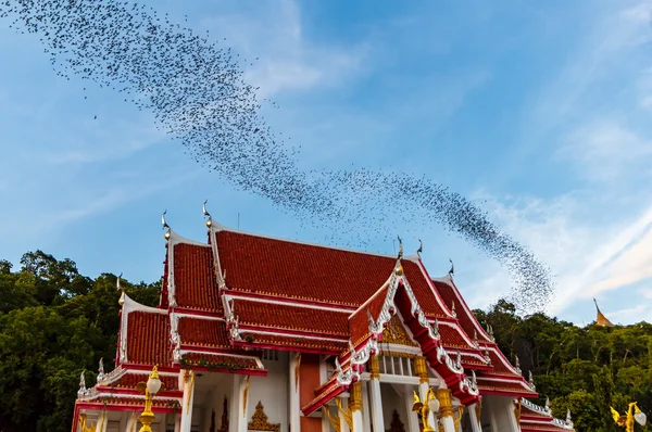 Millionen Fledermäuse in Thailand Stockbild