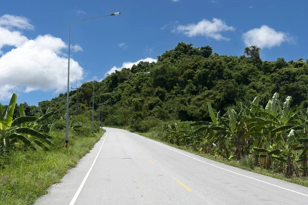 Rovná Asfaltová Cesta Protíná Banánové Stromy Zelené Zalesněné Hory Existují — Stock fotografie